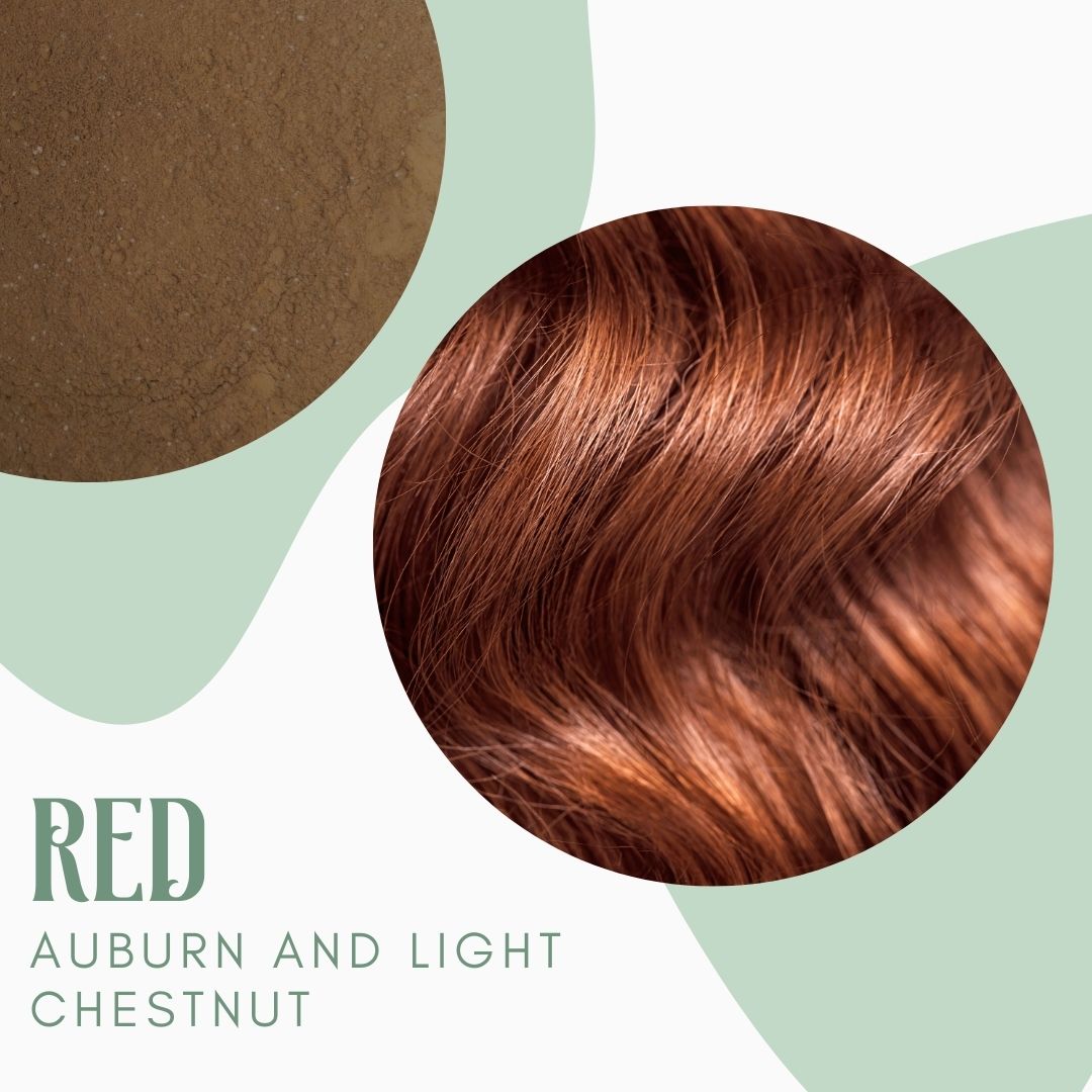 Natural Dry Shampoo - 2 Pack