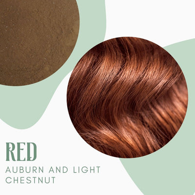 Natural Dry Shampoo - 2 Pack